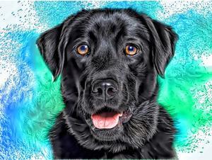 DOGS - Labrador Appreciation by Alan Foxx - PoP x HoyPoloi Gallery